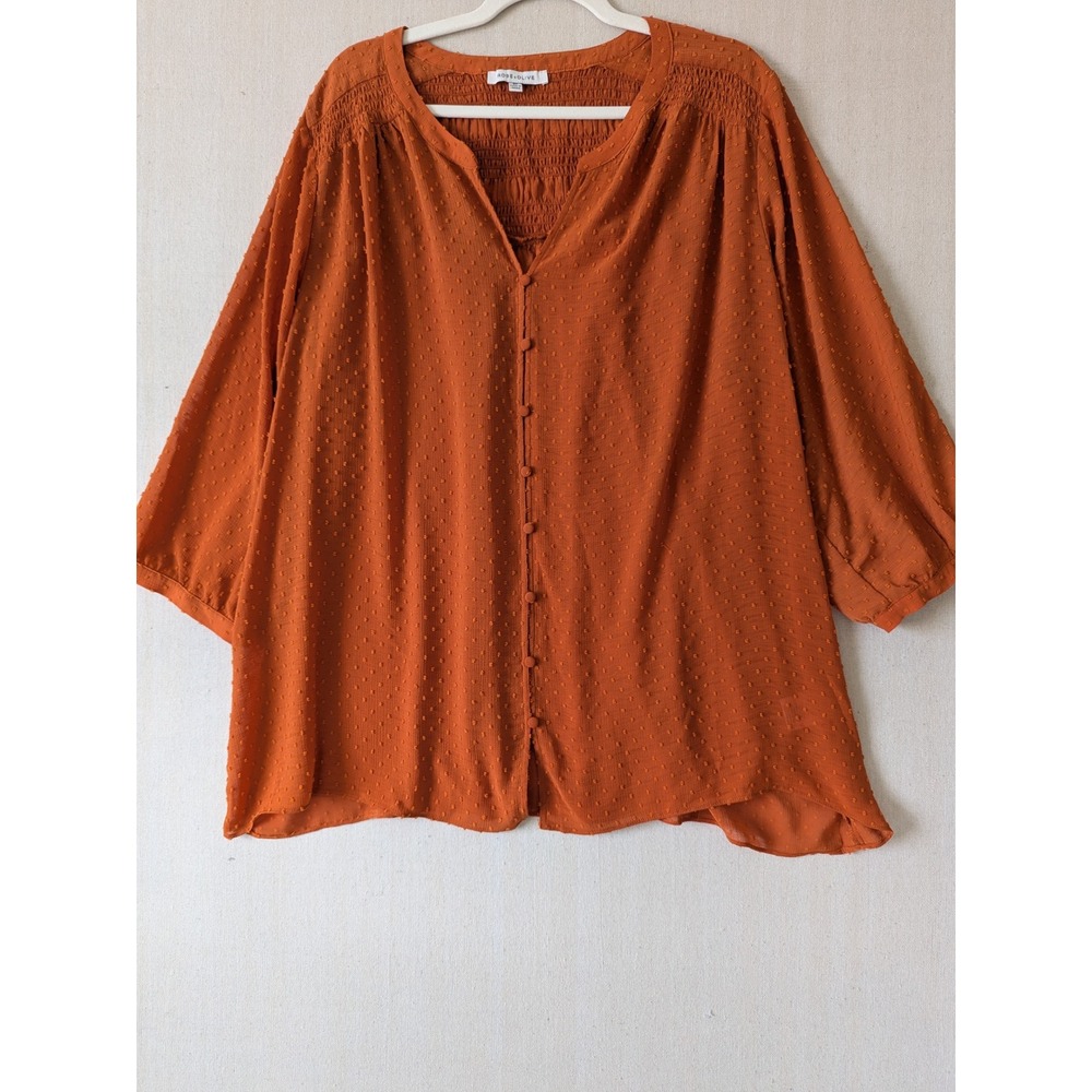 Rose + Olive Blouse Womens 2X Burnt Orange Swiss Dot Smocked Button Front Boho - Picture 2 of 9